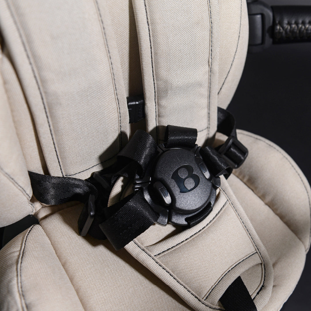 Magnetic buckle system
