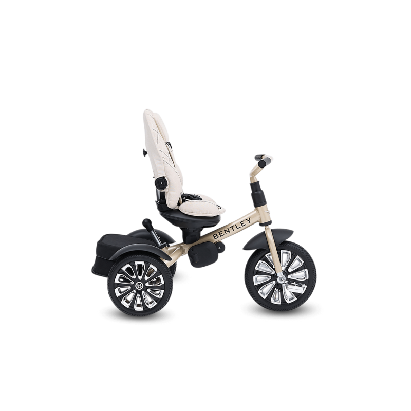 Training trike