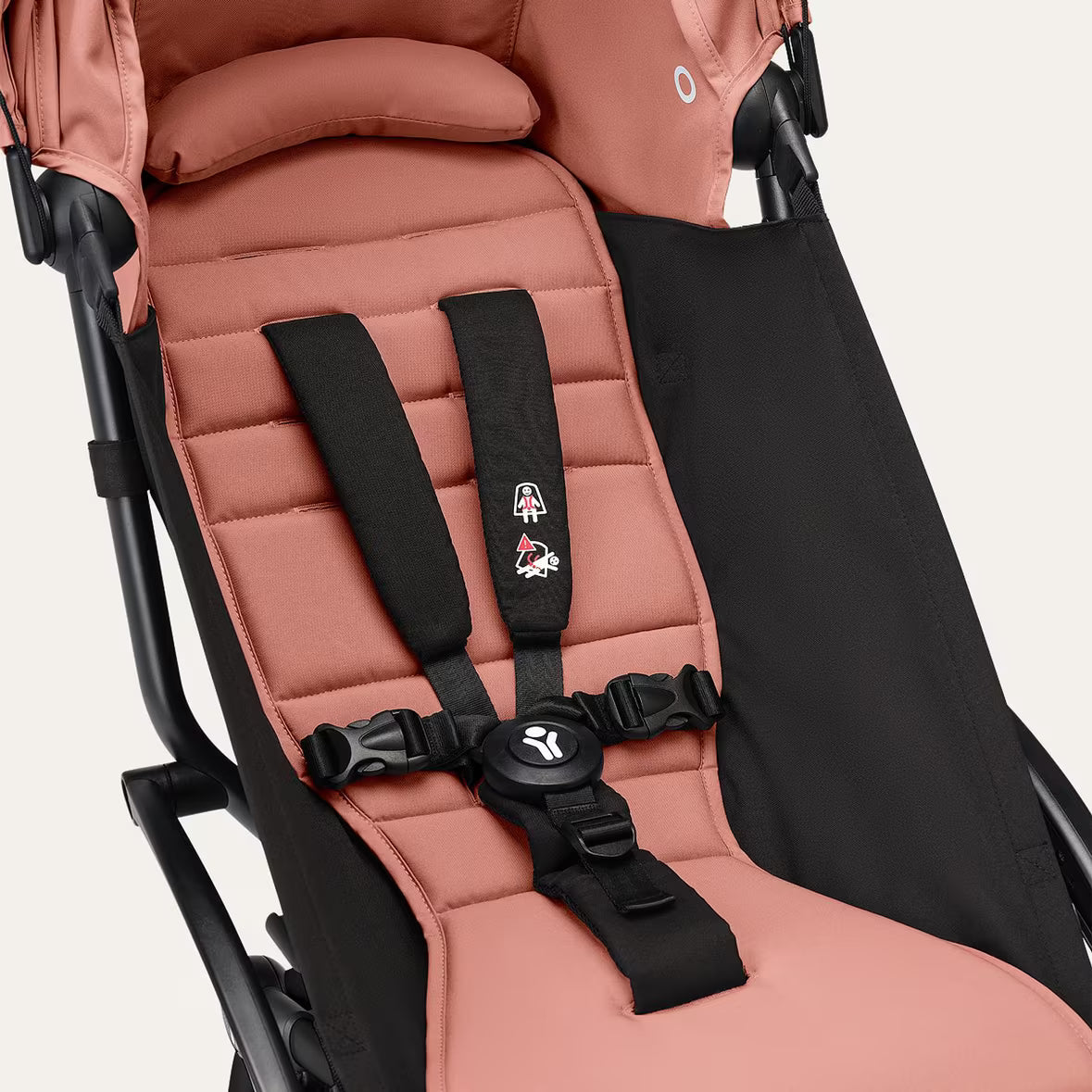 5-point safety harness