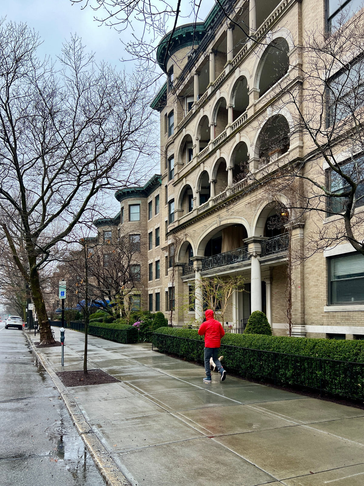 Walker in the city